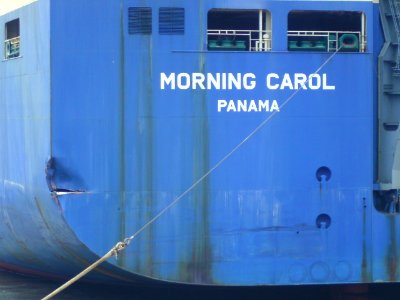 Car carrier Morning Carol 2011-07-26 (5)