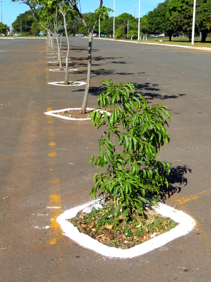 Car park - Brasilia - DSC00101