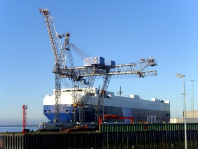 Car carrier Hercules Leader