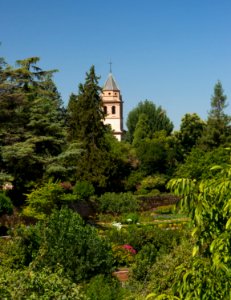 Clocher jardins Alhambra Grenade photo