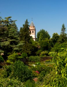 Clocher jardins Alhambra Grenade