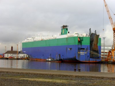Car carrier Platinum Ray 2012-01-24