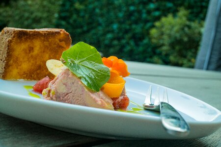 Duck liver summer pate photo