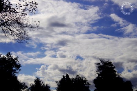Cloudscape (175898485)