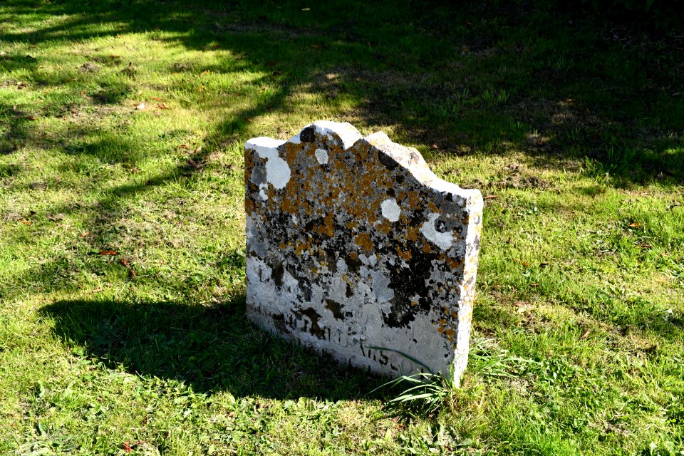 Clyst Honiton (2020-09-26) 22