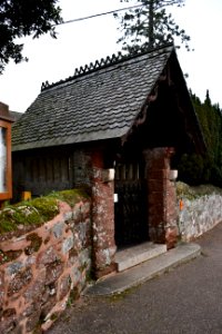 Clyst St George 2020-01-25 (4)