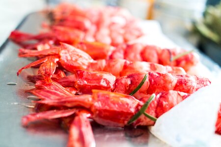 Red shrimp spain mediterranean photo