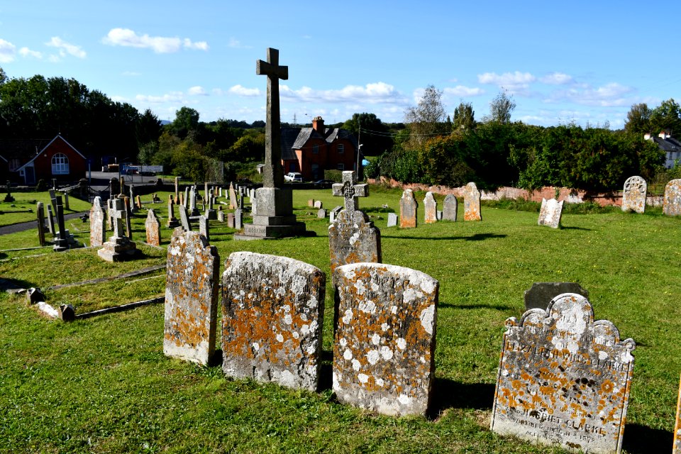 Clyst Honiton (2020-09-26) 21