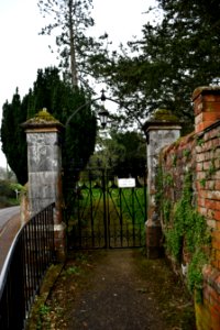Clyst St George 2020-01-25 (11)