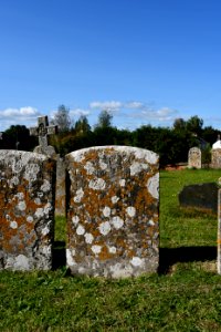 Clyst Honiton (2020-09-26) 19