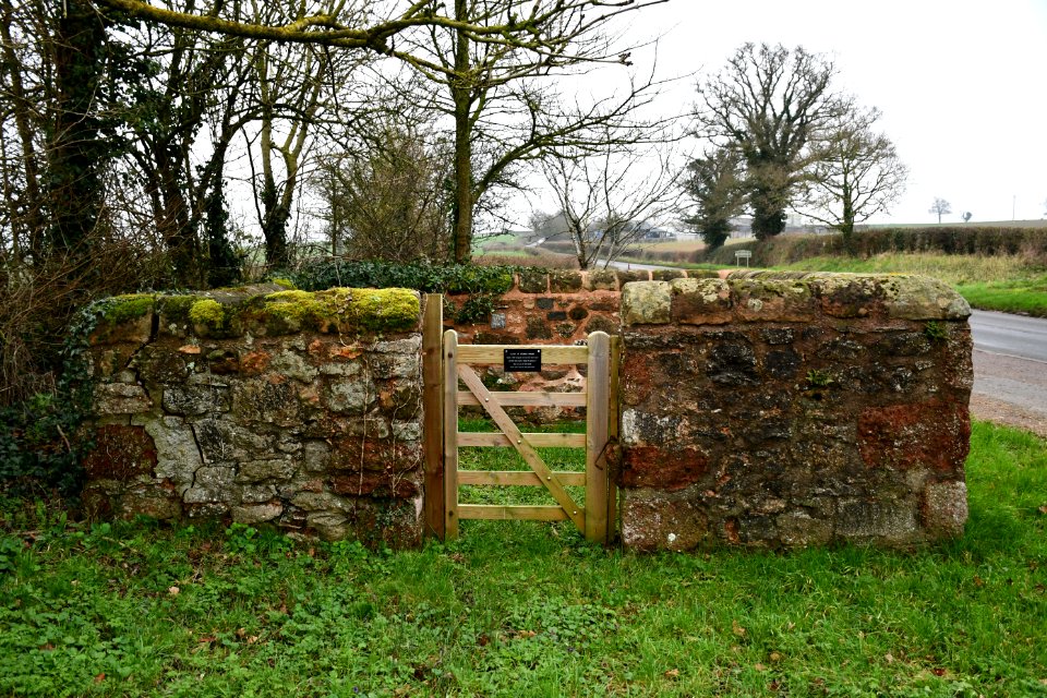 Clyst St George 2020-01-25 (1)