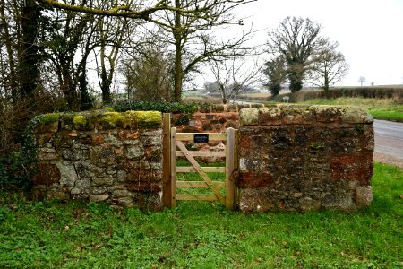 Clyst St George 2020-01-25 (1)