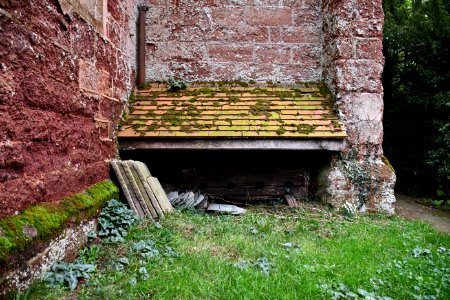 Clyst St George 2020-01-25 (10)