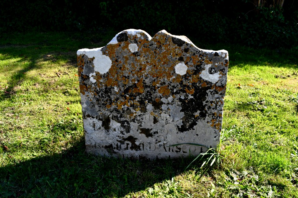 Clyst Honiton (2020-09-26) 23