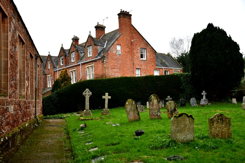 Clyst St George 2020-01-25 (7)