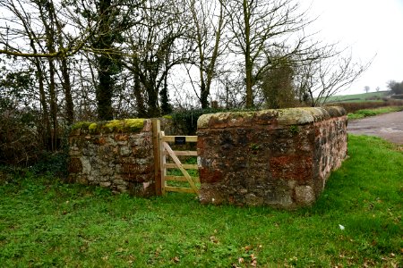 Clyst St George 2020-01-25 (2)