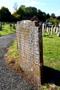 Clyst Honiton (2020-09-26) 16