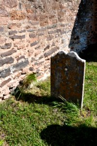 Clyst Honiton (2020-09-26) 18