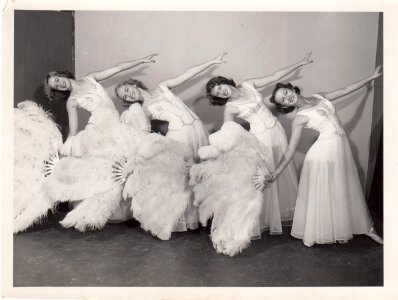 Dancer feathers costume