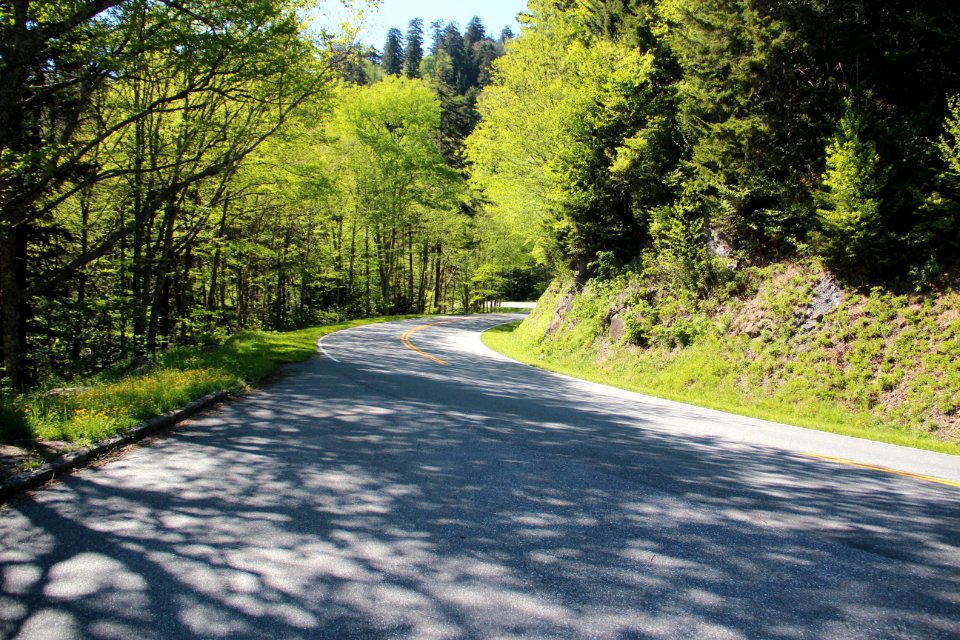 Clingmans Dome Road, May 2017