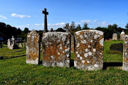 Clyst Honiton (2020-09-26) 20