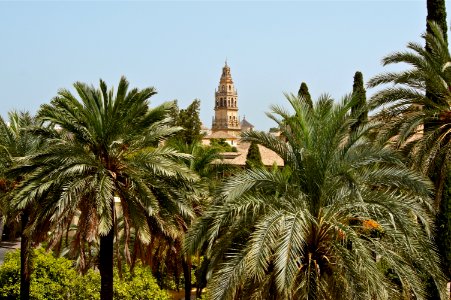 Clocher Cordoue Alcazar