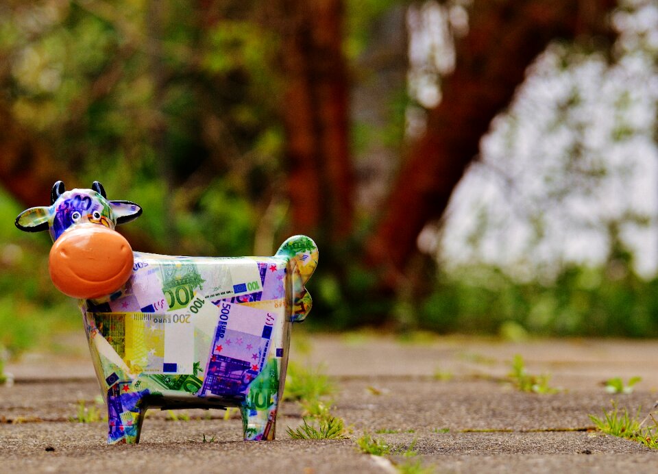 Piggy bank funny ceramic