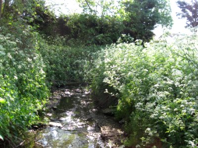 Clitterhouse Stream