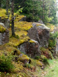 Cliffs by a misty road in Holma