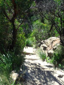 Cliffwalk Leura Cascades