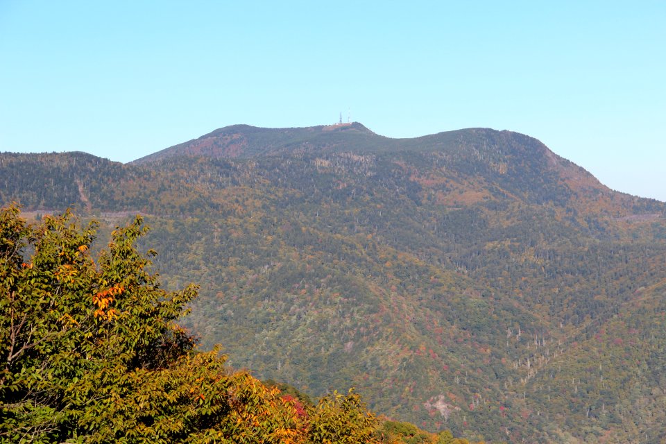 Clingmans Peak viewed from Graybeard Mountain Overlook, Oct 2016
