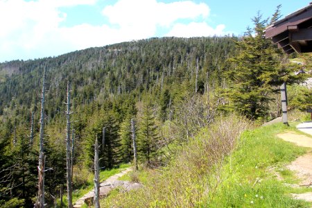 Clingmans Dome viewed from parking lot, May 2017