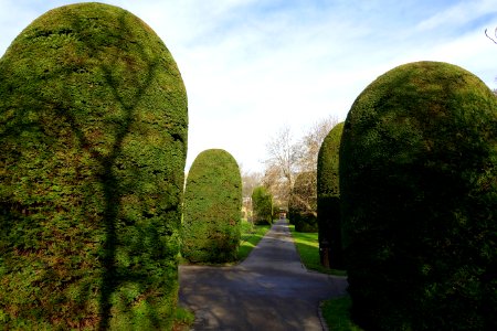 Clipped shrubs - Wilhelma Zoo - Stuttgart, Germany - DSC01929