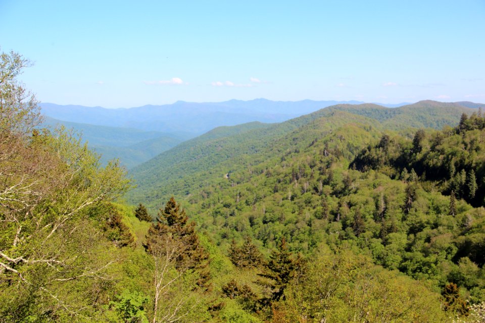 Clingmans Dome Road overlook, May 2017