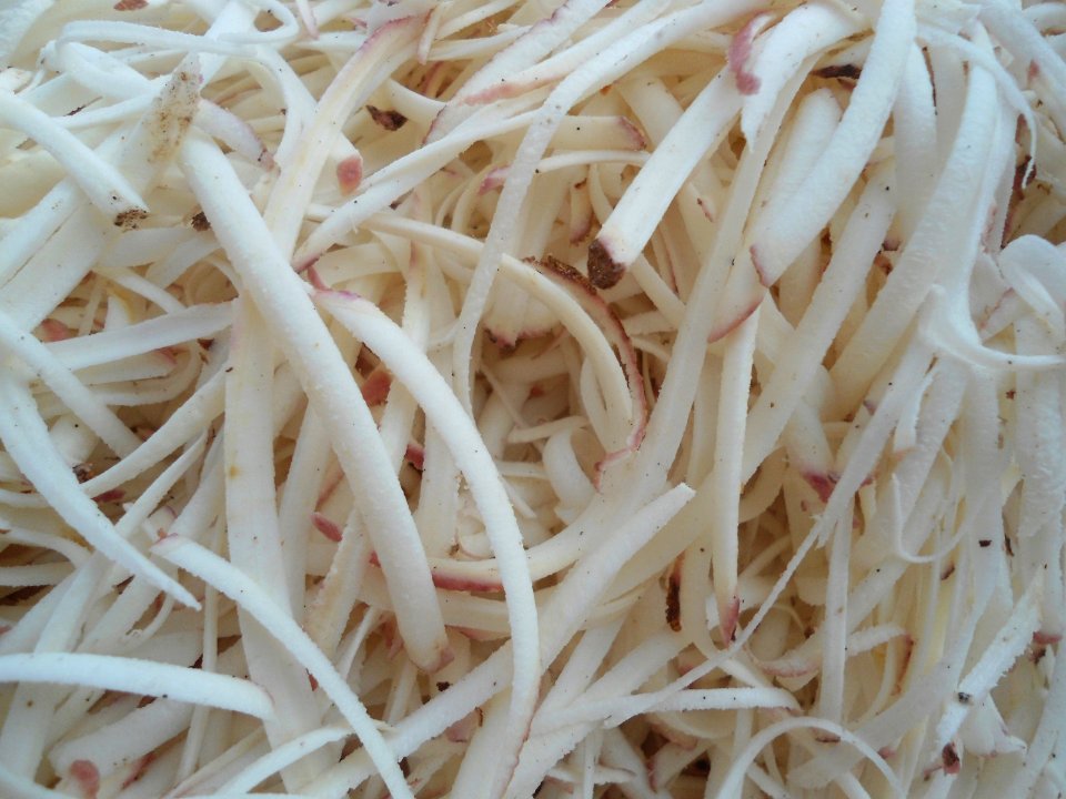 Close-up of grated cassava