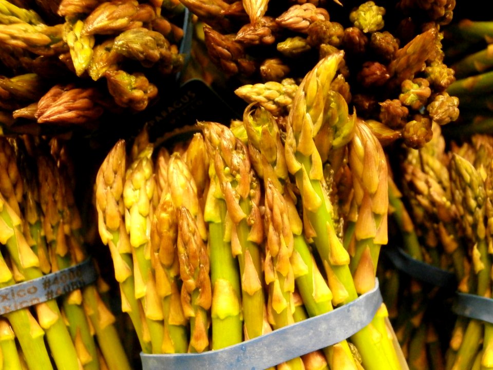 Closeup of asparagus tips