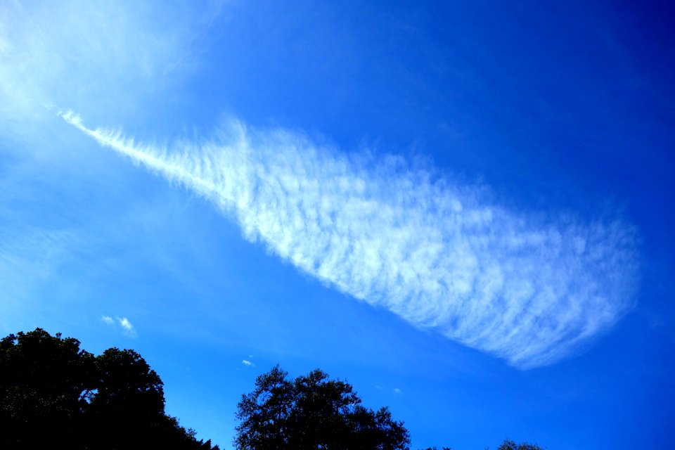 Cloud - Mendocino, California - DSC01672