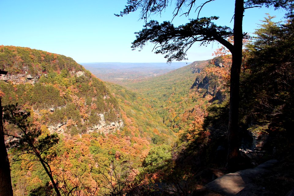Cloudland Canyon view, October 2016 1
