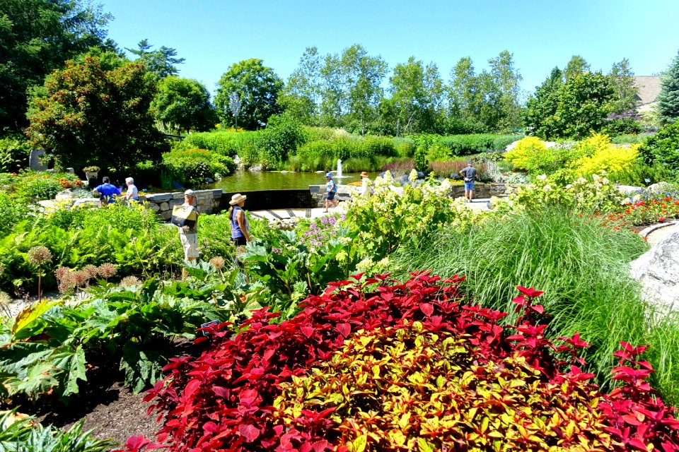 Coastal Maine Botanical Gardens - DSC03126