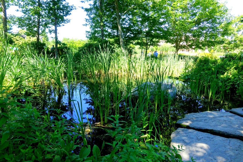 Coastal Maine Botanical Gardens - DSC03184