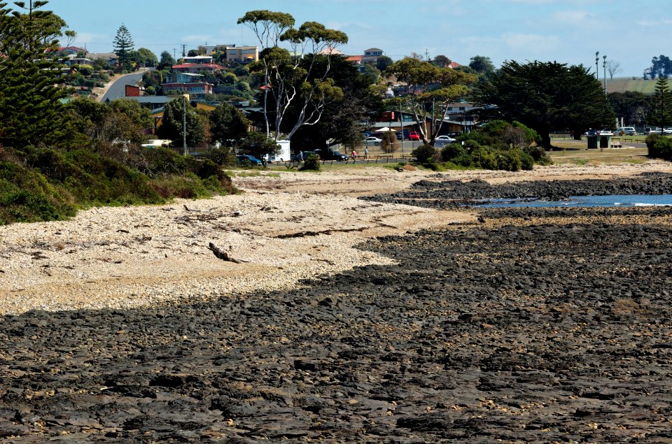 Coast-Devonport-20070310-013