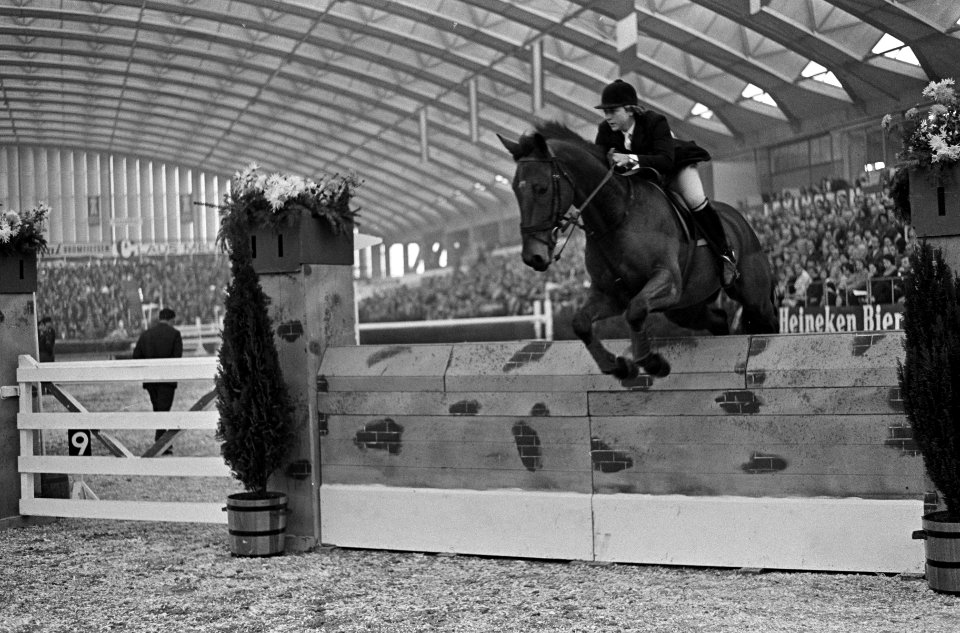 Coakes tijdens sprong op het paard Little Yellow, Bestanddeelnr 918-3571