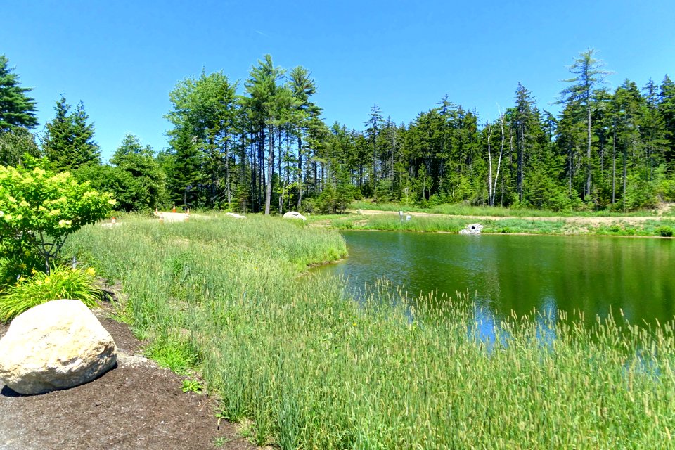 Coastal Maine Botanical Gardens - DSC03068