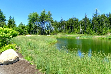 Coastal Maine Botanical Gardens - DSC03068