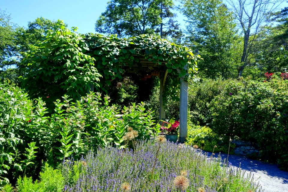 Coastal Maine Botanical Gardens - DSC03220