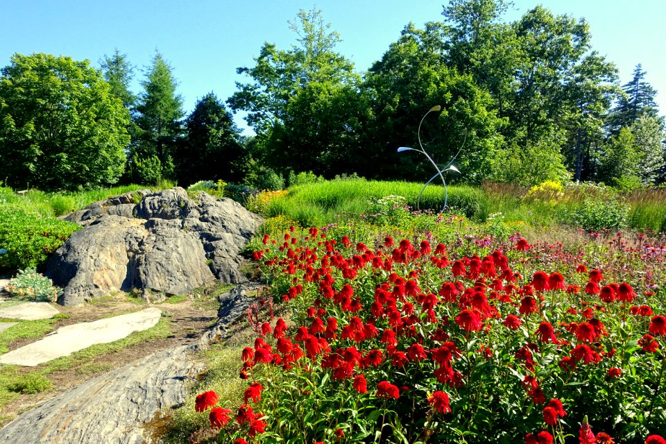 Coastal Maine Botanical Gardens - DSC03328