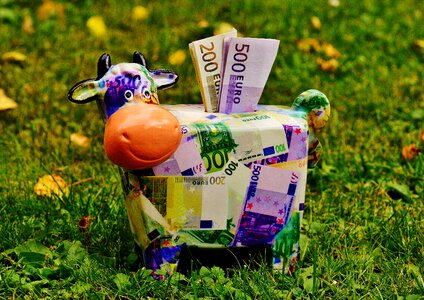 Dollar bill 500 euro piglet