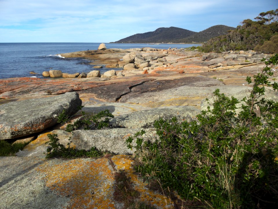 Coast at Bicheno Tasmania 20190725-020