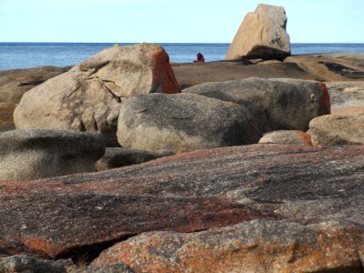 Coast at Bicheno Tasmania 20190725-024