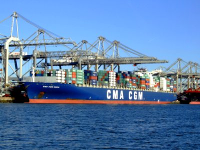 CMA CGM Norma IMO 9299812, Port of Rotterdam, Holland, 06JAN2009 pic4
